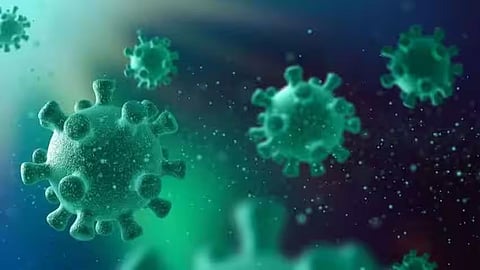 Covid virus
