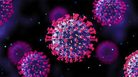 Active Covid cases in country recorded at 4,049