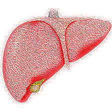 Death risk from liver disease twice as high in lower-income countries: Lancet study
