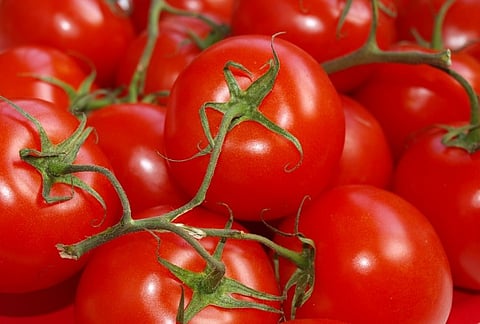 Tomatoes disappear from kitchens as prices soar in Delhi, vendors blame rains
