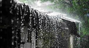 Above-normal monsoon rainfall predicted in south Asia 