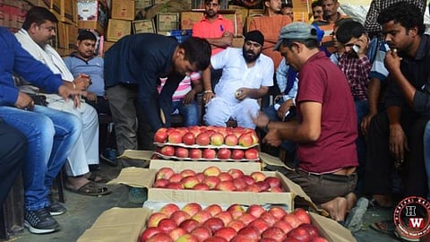 Apples to be sold as per kg, not as per boxes: Himachal horticulture minister