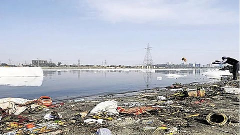 River Yamuna