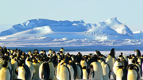 Antarctica
