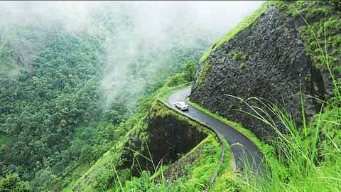 India lost 18,200 ha of primary forest in 2024: Data 