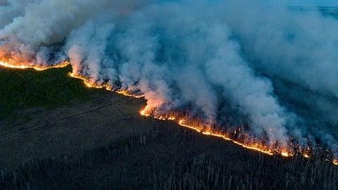 Trudeau slams Facebook for blocking Canada wildfire news