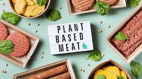 Plant based meat - Palatable alternatives