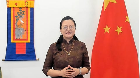 Ma Jia, Charge d'Affaires at the Chinese embassy 
