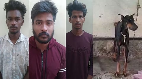 Youth caught with drugs in Kallambalam (left), dog kept as a guard in a rented house
