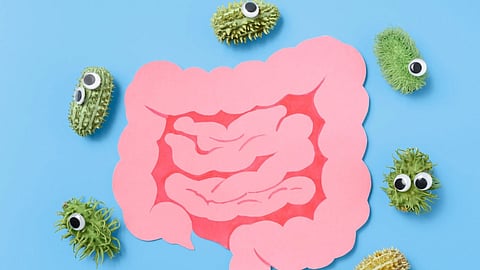Researchers find how engineered gut bacteria can help treat hypertension