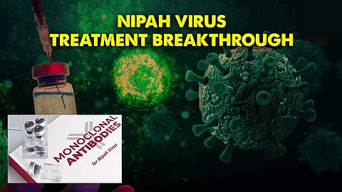 Monoclonal antibodies for Nipah infection