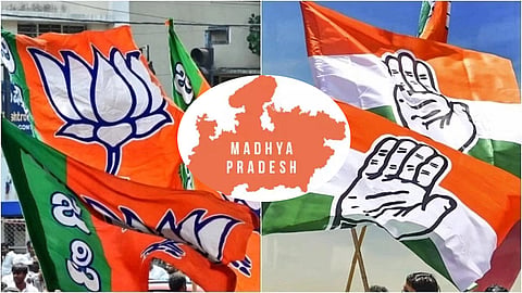 MP assembly poll 