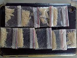 663 drug-related offences logged in Maharashtra's Thane district in 10 months this year, 771 people held