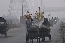Toxic Smog in Lahore: Thousands Fall Ill, Schools and Markets Shut Down