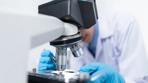 Cow's milk antibodies are connected to increased risk of cardiovascular mortality