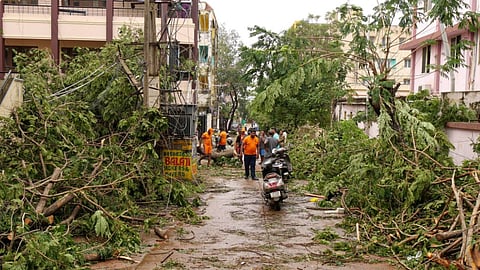 Michaung makes landfall, claims 12 lives, and leaves trail of deluge and disruption