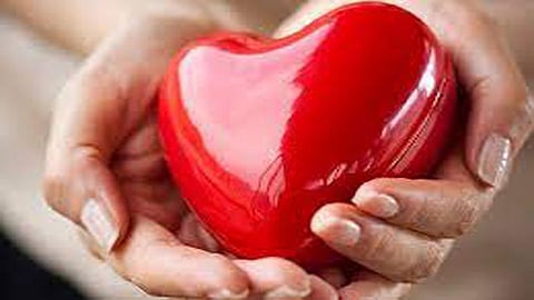 Optimizing Recovery: Essential Lifestyle Changes After Cardiac Surgery