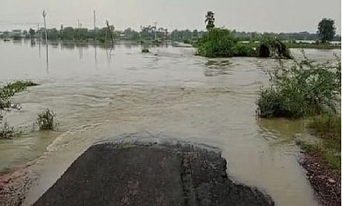 Cyclone Michaung devastates Andhra Pradesh, leaving farmers in distress