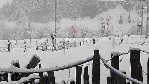 Srinagar Blanketed in Second Winter Snowfall