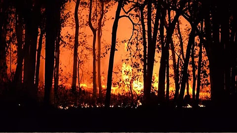 Chile's Wildfires Leave 123 Dead, Hundreds Missing