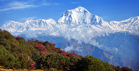  Himalayas