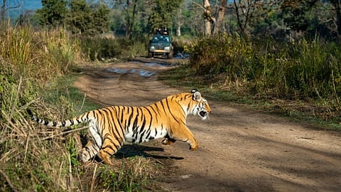 As conflicts and mercury rise, forest conservation on unprecedented crest