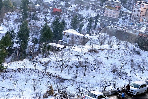 Snowfall and Rain Bring Relief to Uttarakhand Apple Growers