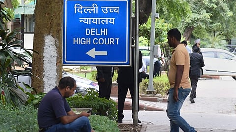 Child mauled to death by stray dogs: Delhi HC asks police to investigate "nature" of pets in area