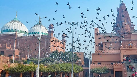 Sri Krishna Janambhoomi and Shahi Idgah mosque, in Mathura.