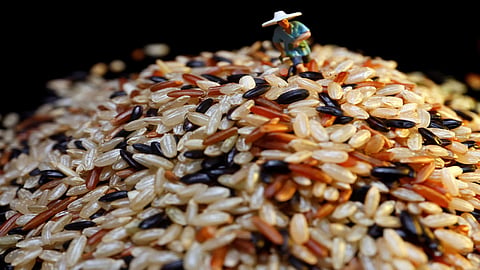 Kala Namak rice