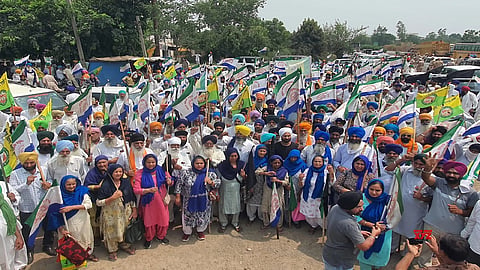 Punjab Farmers
