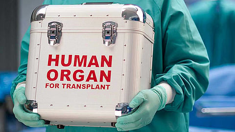 Kerala Women''s Commission seeks report from police on organ trading