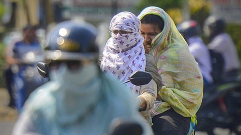 Heat wave intensifies in north, central India; 52.9 deg C in Delhi's Mungeshpur foxes scientists