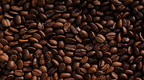Coffee