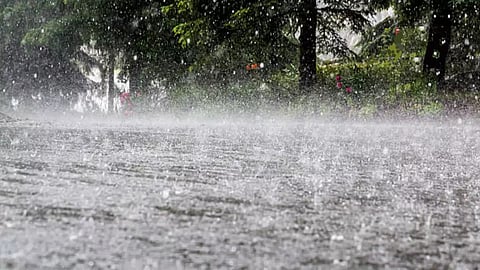 Heavy rains uproot trees, waterlog roads in several parts of Kerala