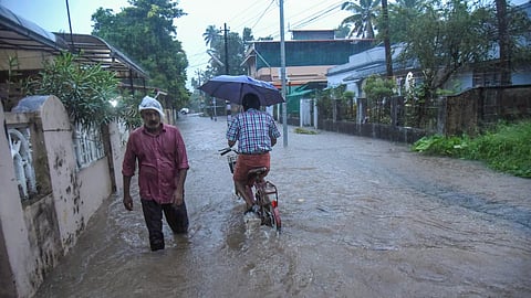 Incessant rains in Kerala uproot trees, inundate low-lying areas