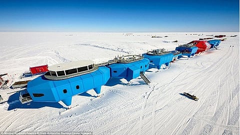 Antarctica's tourism boom raises concerns about contamination