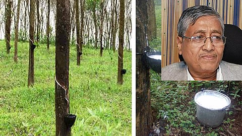 Outgoing Rubber Board Chairman, Sawar Dhanania's comment on rubber growers