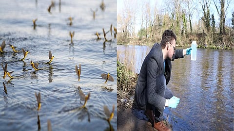 Riverrs - freshwater ecosystems