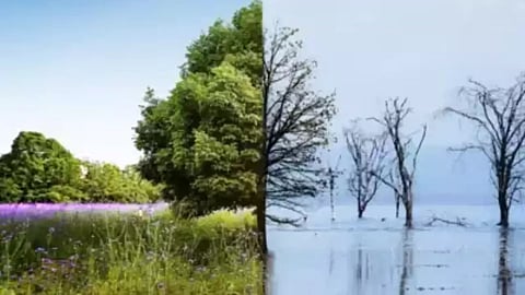Climate change