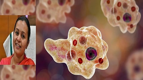 Recovery from amoebic meningoencephalitis