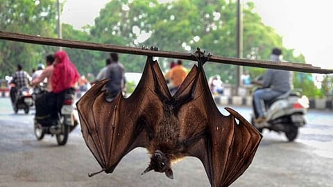 Representational image.