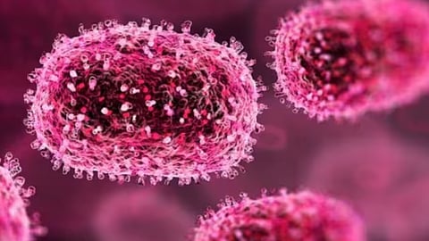 Gujarat reports 1st death due to Chandipura virus; infection suspected to have killed 13 others