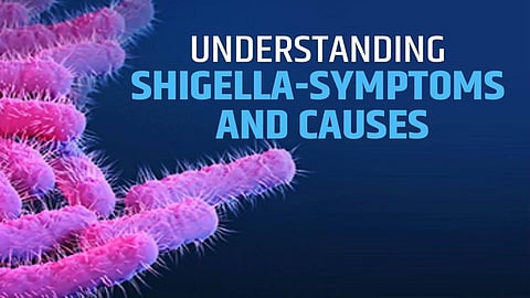 Shigella infection 