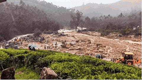 View of the Wayanad landslide site
