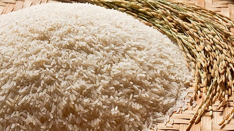 Rice export