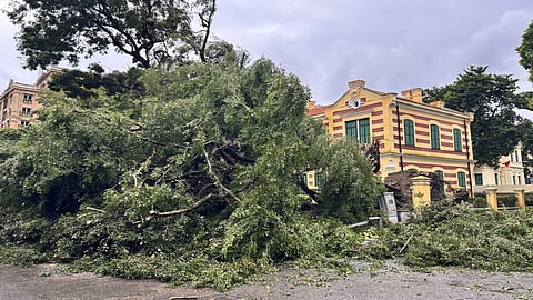 Aftermaths of Typhoon Yagi