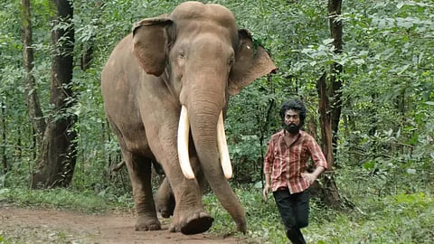 The 57-year-old elephant, Puthuppally Sadhu