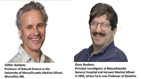 Nobel Prize winners in Medicine 2024 -  Victor Ambros and Gary Ruvkun