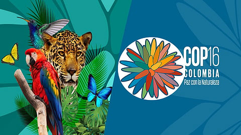 COP16 Biodiversity conference, Colombia, 2024